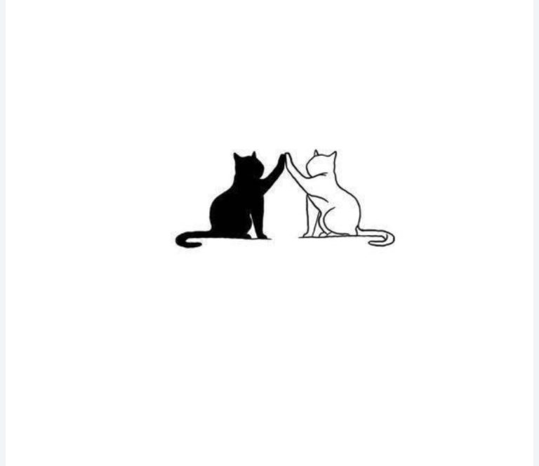 گربه و حقوق گربه‌وندی